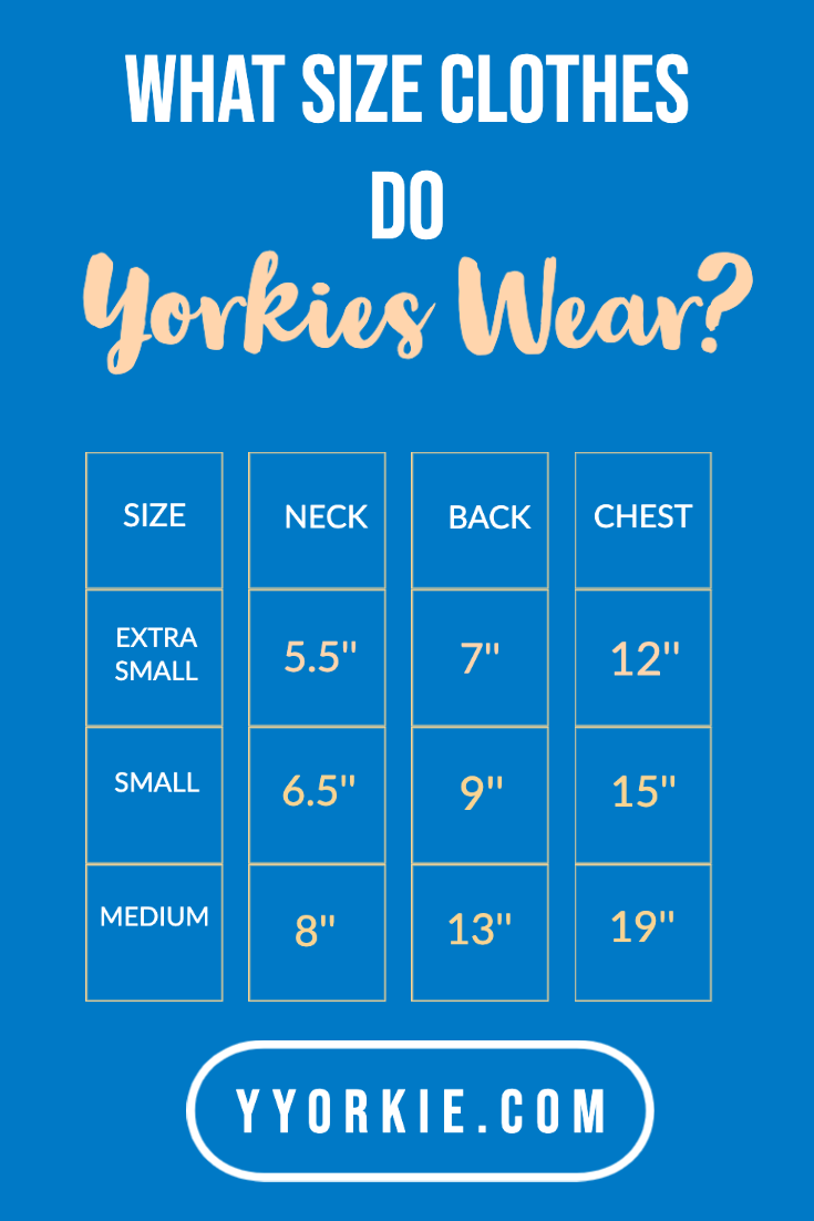 yorkie clothes sizing chart
