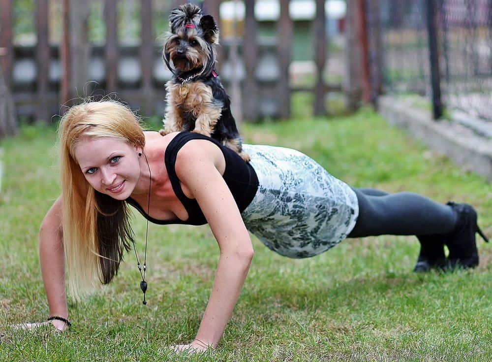 woman doing pushups with yorkie