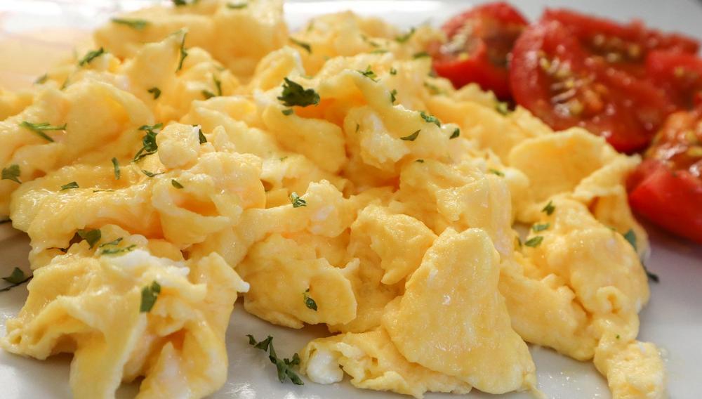 can yorkies eat scrambled eggs