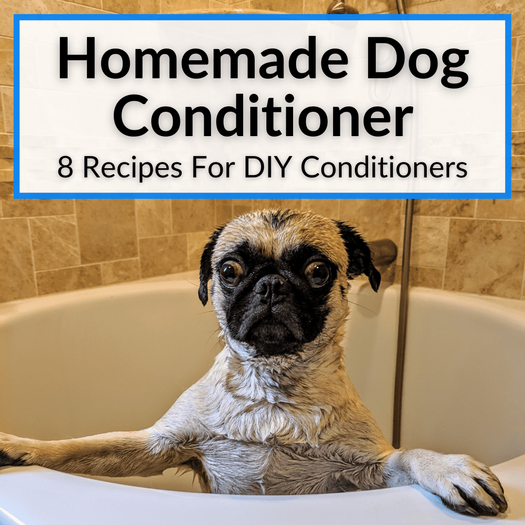 Homemade Dog Conditioner