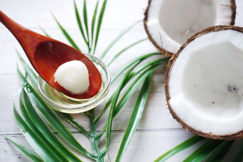 coconut oil to heal yorkie skin