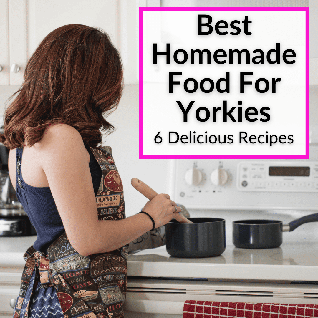 Best Homemade Food For Yorkies