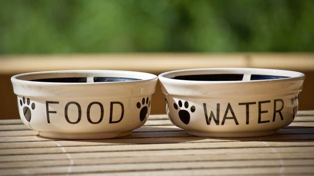 ceramic food bowls