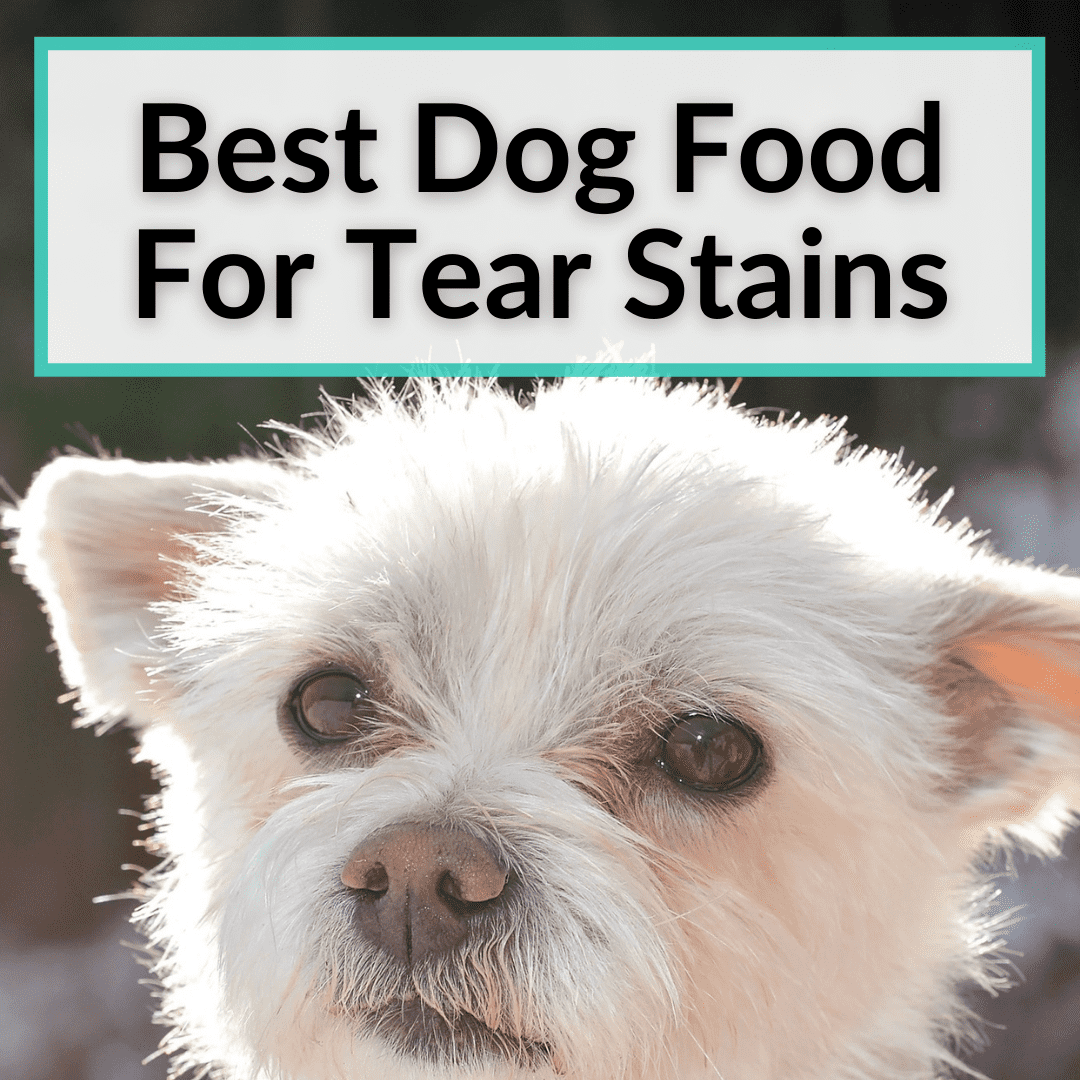 Best Dog Food For Tear Stains