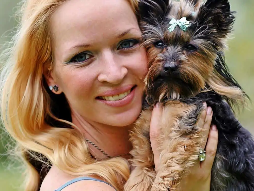 yorkshire terrier therapy dogs