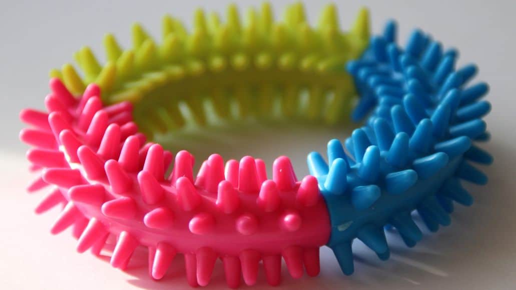 chew toy for dogs