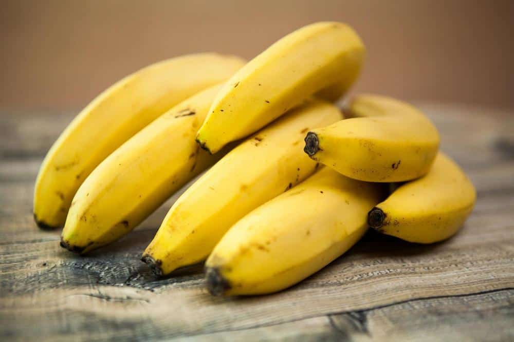 are bananas good for yorkies