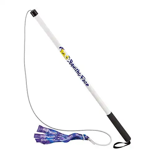 Squishy Face Studio Flirt Pole with Lure