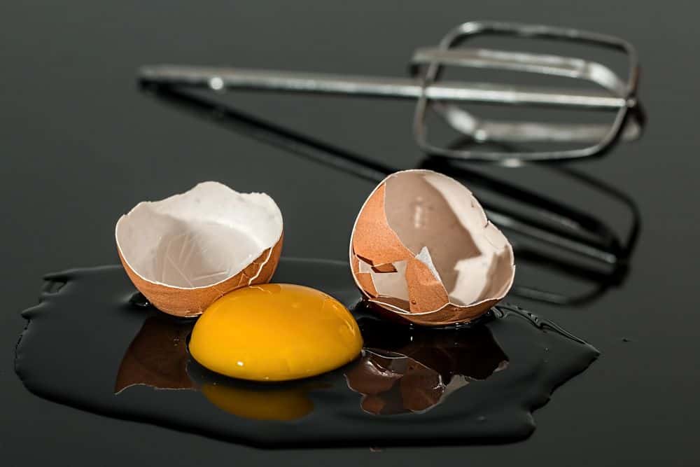 do not feed yorkie raw eggs
