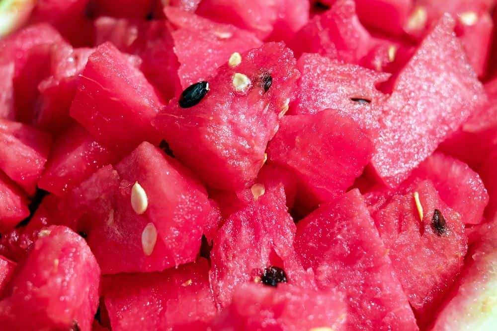 pieces of watermelon for yorkies