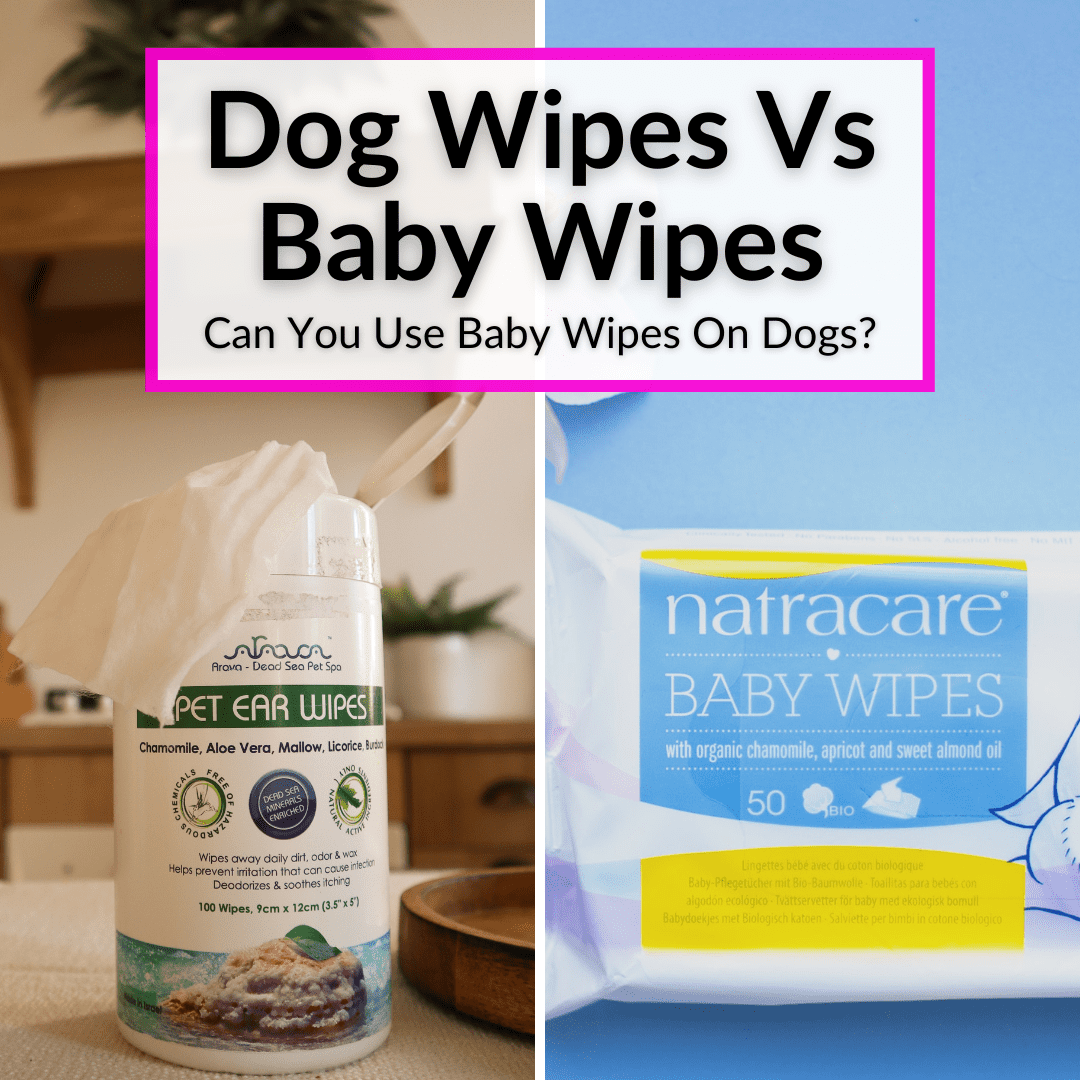 Dog Wipes Vs Baby Wipes